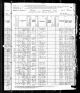 1880 Census Frank Kamen 1864 in Chicago