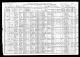1910 Census for Vaclav Zajicek 1843 Barbora Family Illinois
