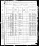 1880 Census Adolf Blecha 1863 and Landey Family in Illinois