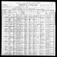 1900 Census Albert Blecha Family in Ne