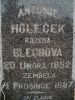 Antonie Blecha Holechek 1852 1897 Headstone Nebraska
