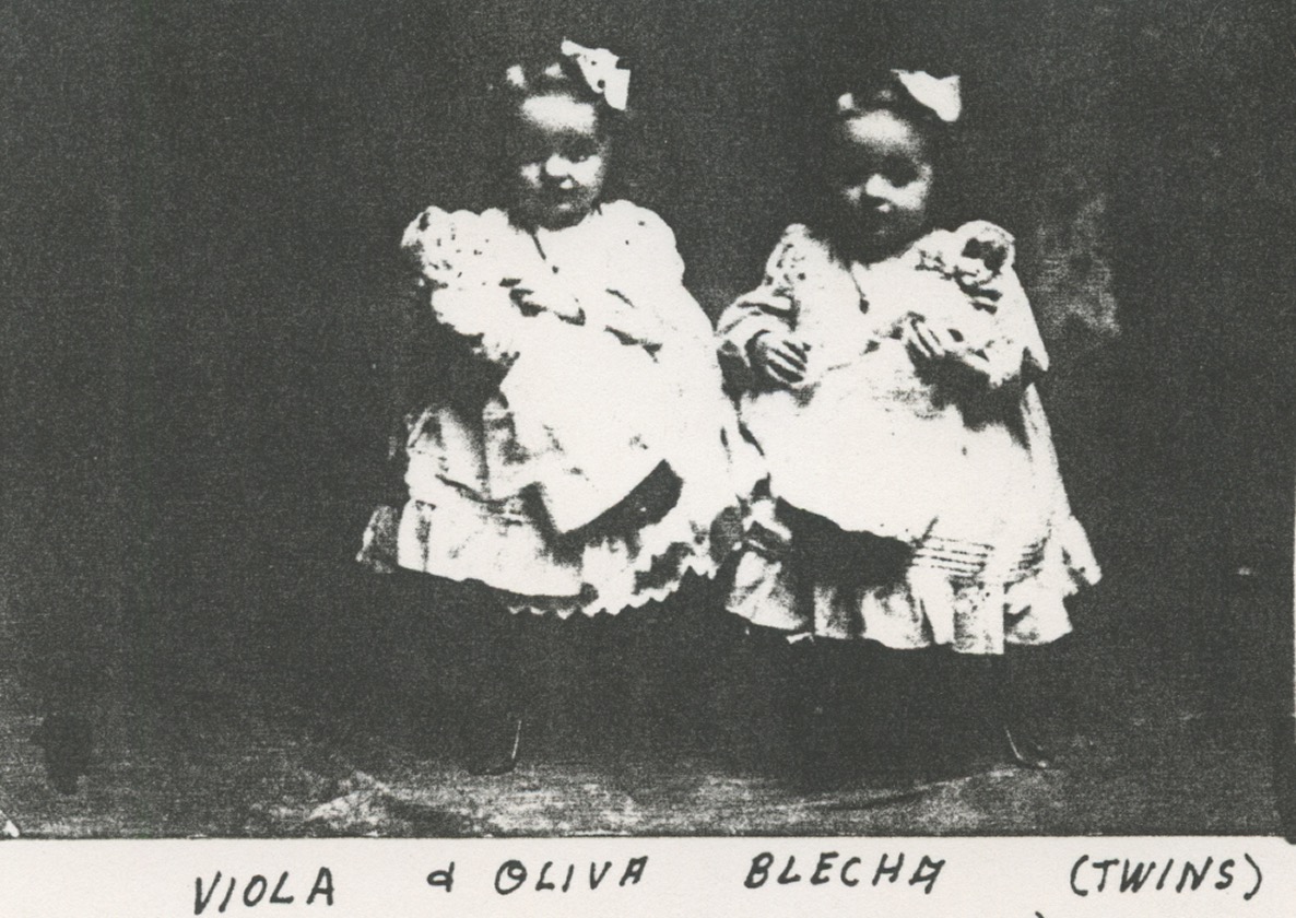 Viola and Olivia Blecha twins