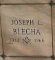 Joseph Louis BLECHA (I11834)